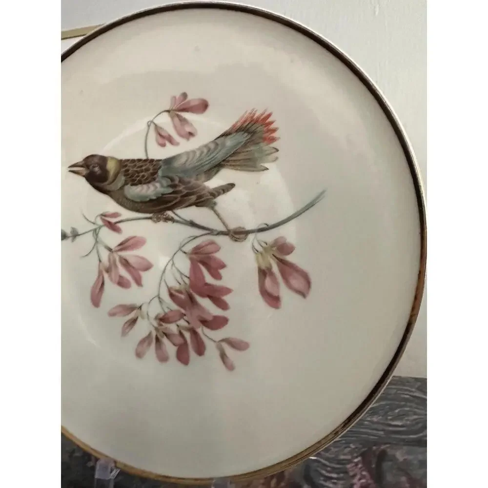 Vintage Hand Painted Bavaria Debra Porcelain Bird Plate Made In Germany